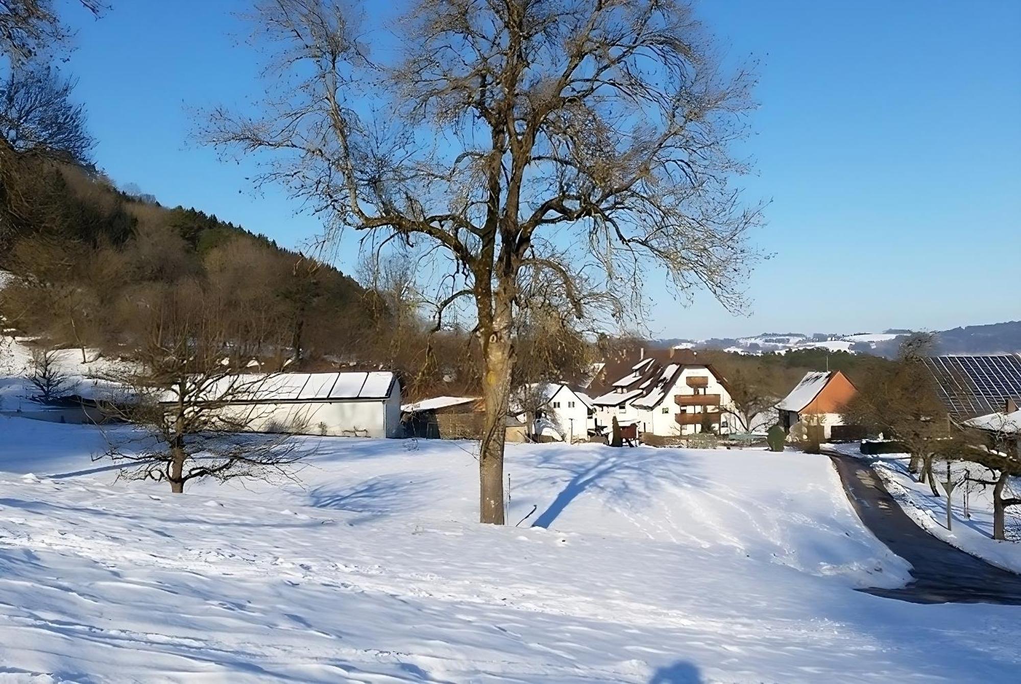 Mayer Burghoefe Owingen ภายนอก รูปภาพ